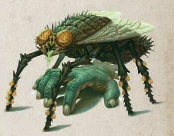 Flesh Fly