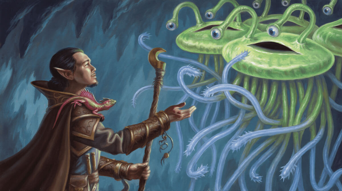 An adventurer meets a strange, friendly creature