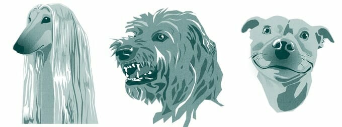Were-Woofs!