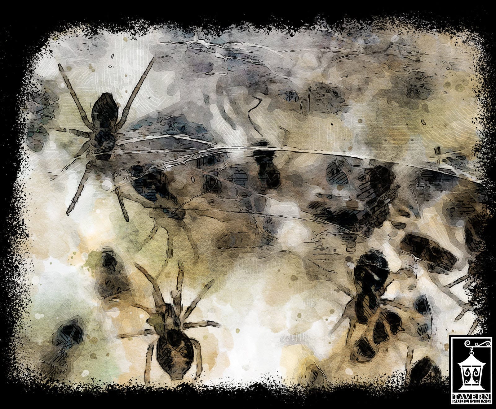 Spiders